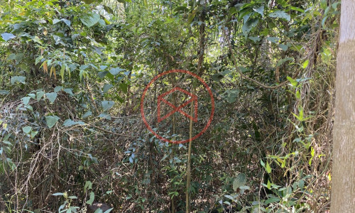 Chácara em Loteamento fechado em Ibiúna Antes do centro.