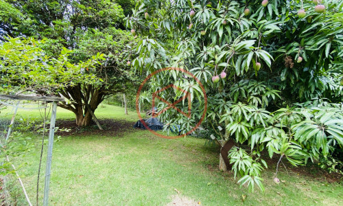 Chácara em Ibiúna! Interior de SP