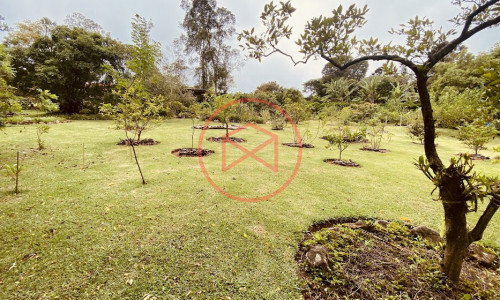 Chácara em Condomínio com 5.000 mts Antes do Centro!!