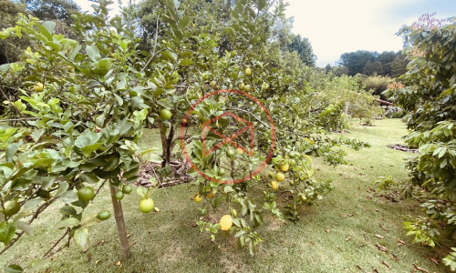Chácara em Condomínio com 5.000 mts Antes do Centro!!
