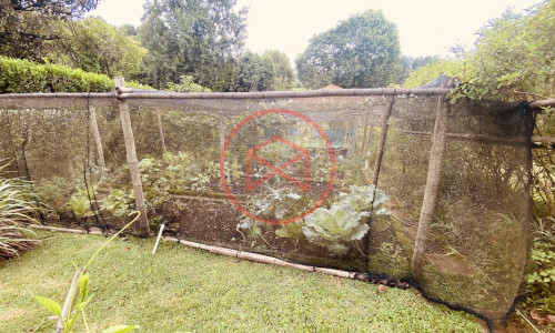 Chácara em Condomínio com 5.000 mts Antes do Centro!!