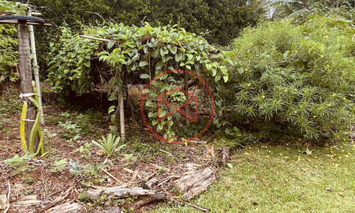 Chácara em Condomínio com 5.000 mts Antes do Centro!!