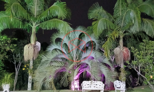 Chácara em Ibiúna!! Interior de SP