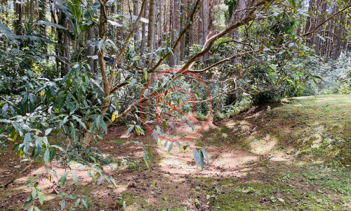 Chácara em Condomínio Fechado!!