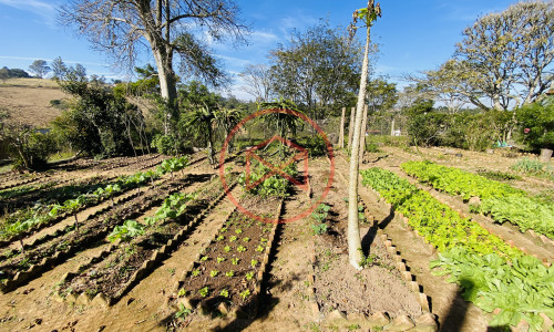 Chácara em Ibiúna!! interior de São Paulo