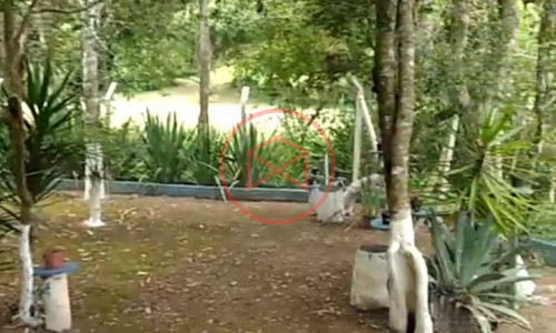 Chacara Próximo do Centro de Ibiúna!!