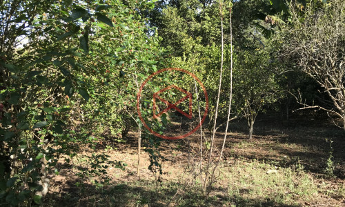 Chácara Antes do Centro de Ibiuna!!