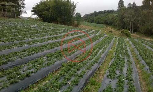 Sítio em Piedade !!