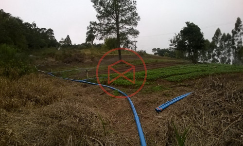 Sítio em Piedade !!