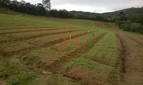 Sítio em Piedade !!