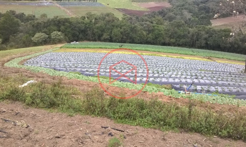 Sítio em Piedade !!