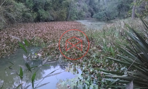 Sítio em Piedade !!