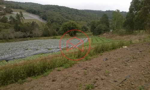 Sítio em Piedade !!