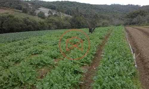 Sítio em Piedade !!