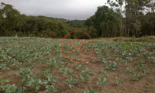 Sítio em Piedade !!