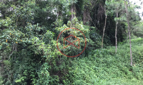 Lote em Condomínio Fechado!!