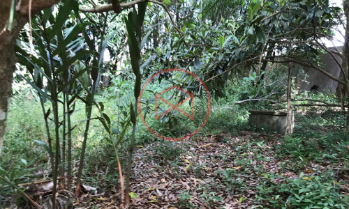 Chácara em Condomínio Antes do Centro de Ibiúna