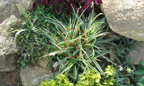 Chácara em Condomínio Fechado!!