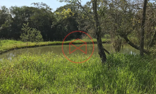 Chácara em Ibiúna local Nobre!