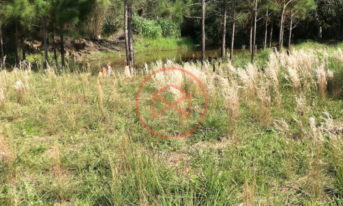 Chácara em Ibiúna local Nobre!