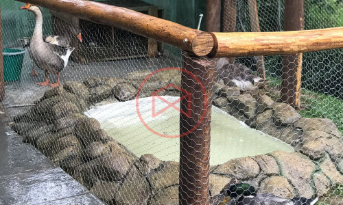 Chácara antes do centro de Ibiúna!!