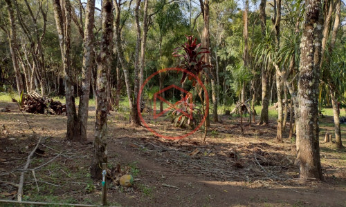 Chácara em Loteamento Aberto em Ibiúna!!