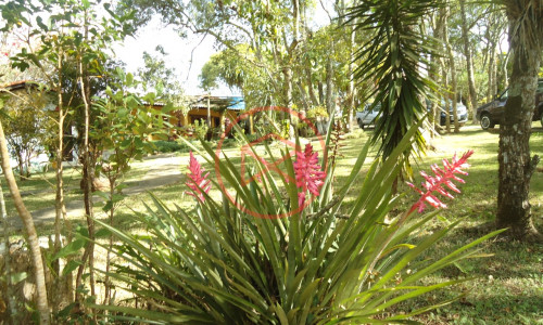 Chácara Próximo do Centro de Ibiuna!!