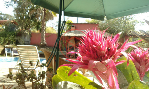 Chácara Próximo do Centro de Ibiuna!!