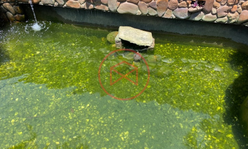 Chácara em Ibiúna próximo à Represa !!!