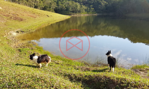 Sítio com 7 alqueires antes do Centro de Ibiuna!!