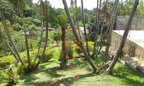 Chácara com 15.000 mts em Ibiúna!