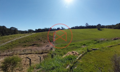 Haras Completo em Ibiúna!