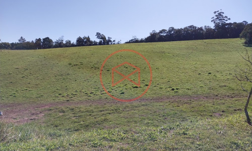 Haras Completo em Ibiúna!