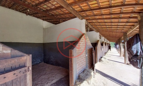 Haras Completo em Ibiúna!
