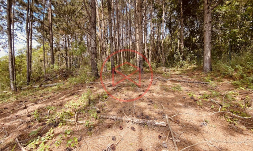 Chácara com 12.500 mts em Ibiúna!!