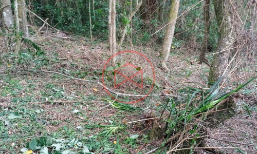 Lote próximo a represa de Ibiúna