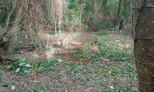 Lote próximo a represa de Ibiúna