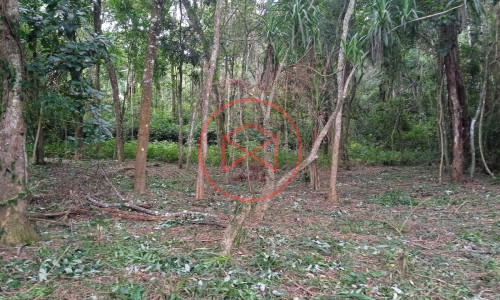 Lote próximo a represa de Ibiúna