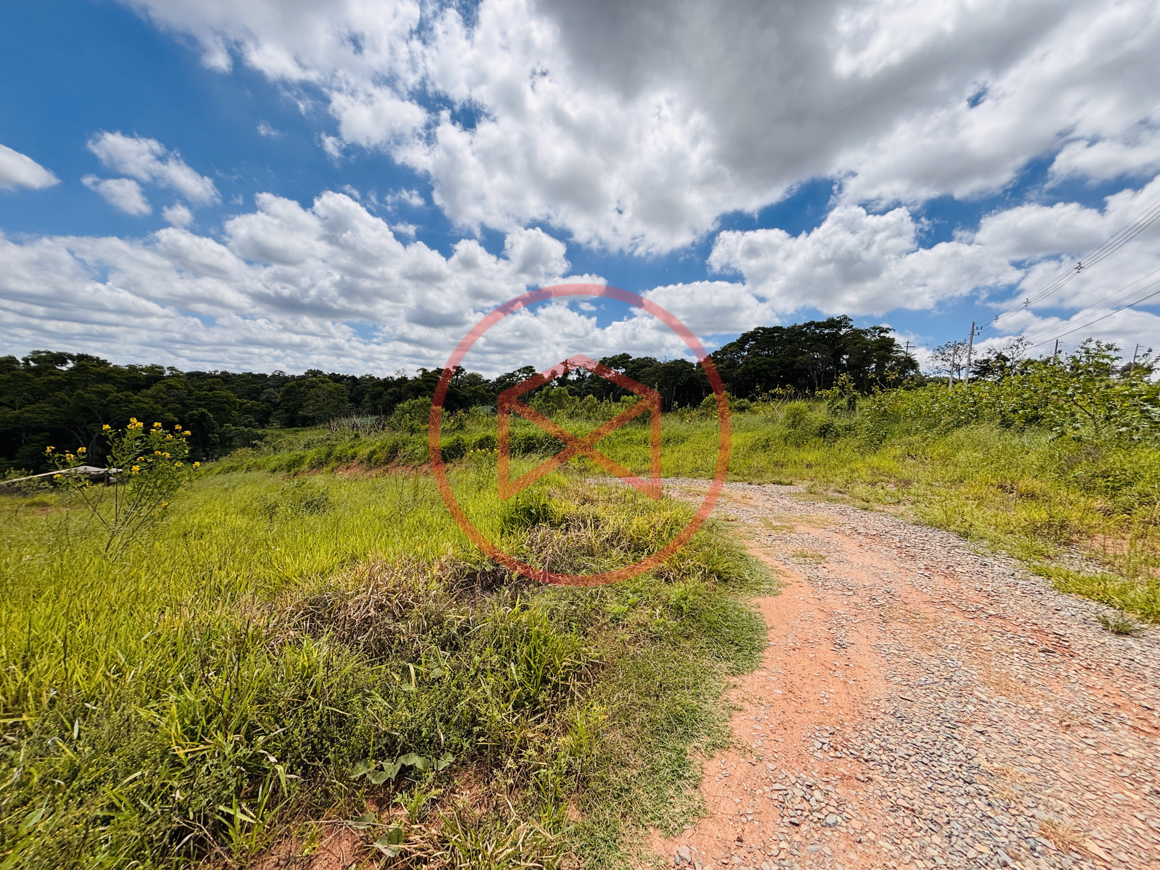 Terreno de 44.000 mts² na beira do asfalto