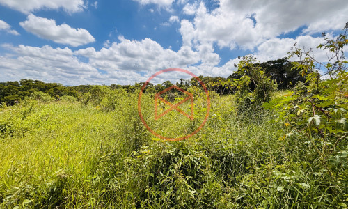 Terreno de 44.000 mts² na beira do asfalto
