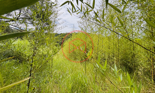 14 alqueires na beira da estrada em Ibiúna