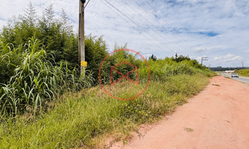 14 alqueires na beira da estrada em Ibiúna