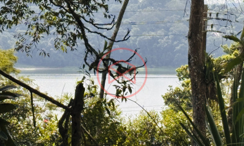 Chácara em Condomínio com acesso a Represa de Ibiúna